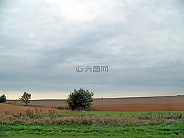 空,原野,灌木丛