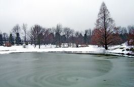 凍結(jié),池,公園