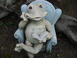 青蛙,花園,裝修