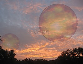 日落,自然,樹