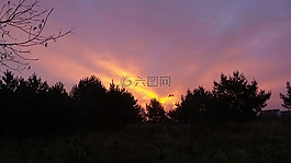 日出,紫,天空