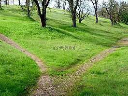 路徑,徒步旅行,徑