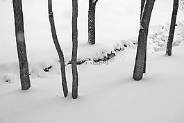 河,雪,溪