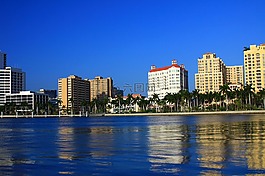 棕櫚,海灘,佛羅里達