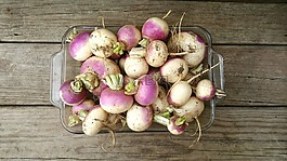 蘿卜,木材,農(nóng)場