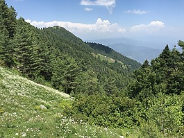 自然,山,旅行