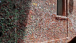 gumwall,膠,墻
