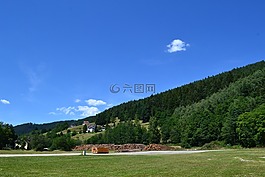 夏季假日,黑色的森林,山