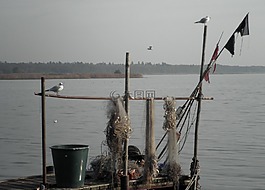 捕魚(yú),網(wǎng)絡(luò),魚(yú)網(wǎng)