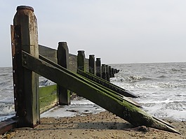 丁,籬笆,海