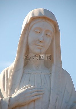 玛丽,完美,默主哥耶