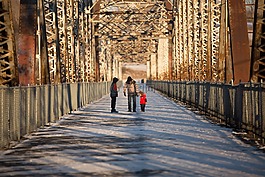 家庭,橋,人