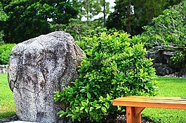 花園,日本,石