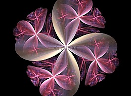 萬花筒,花,分形