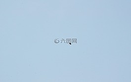 蜜蜂,熊蜂,天空