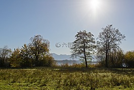 背光,太陽,景觀