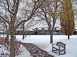 人行道,長凳,雪