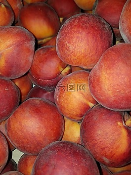 桃,桃子,埃尔伯塔