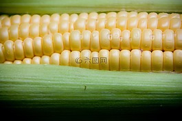 墾,蔬菜,健康
