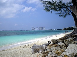 加勒比海,海灘,沙