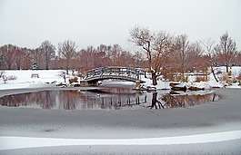 冬天,橋,雪