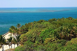 海洋,海灘,沙