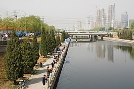 釣魚,漁,運(yùn)河