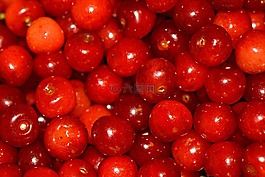 櫻桃,食品,季節(jié)