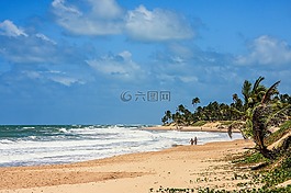 海灘,巴西,海