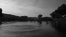 水,景觀,平靜