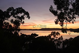 日出,水,樹