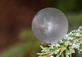 泡沫,肥皂泡沫,冻结