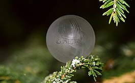 泡沫,肥皂泡沫,冻结