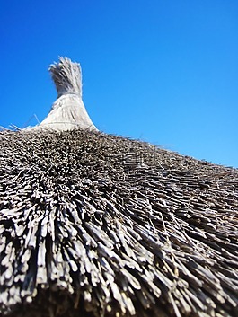 海灘,藍(lán)色,棕色