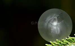 泡沫,肥皂泡沫,冻结