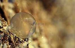 泡沫,肥皂泡沫,冻结