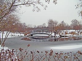 橋,公園,雪