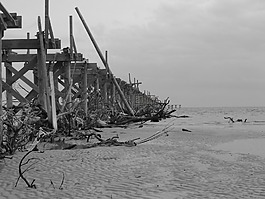 碼頭,海洋,塢站