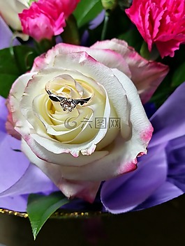 玫瑰,花束,圓環(huán)