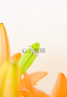 訂婚,環(huán),婚禮