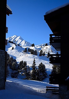 高山,阿爾卑斯山,冷