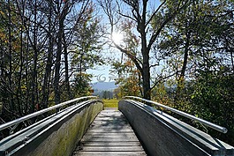 橋,格里芬湖,蘇黎世