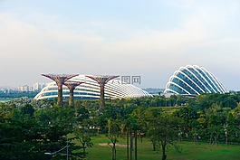新加坡,花,圆顶