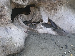 海灘,沙,海