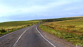 路,自然,景觀