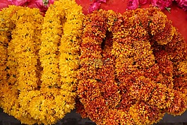 花,花環(huán),花的