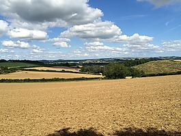 英国乡村,字段,夏天