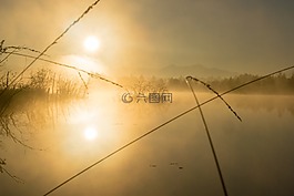 日出,系泊,性質