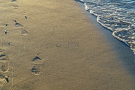沙,海灘,足跡