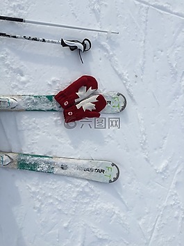 滑雪,加拿大,冬天